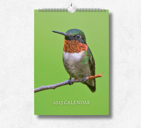 2025 Hummingbird calendar featuring a ruby throated hummingbird perched on a thin tree branch upon a bright green background.