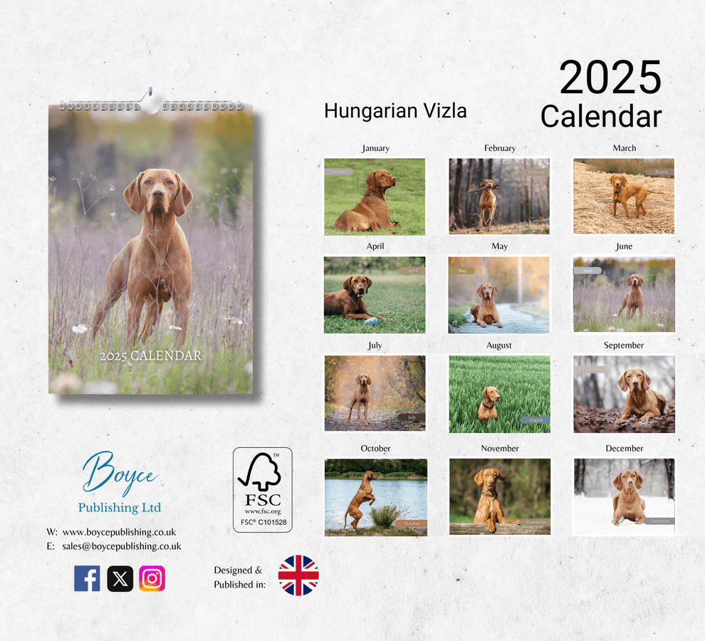 Hungarian Vizsla Calendar 2025 Monthly Wall Calendar with Notes