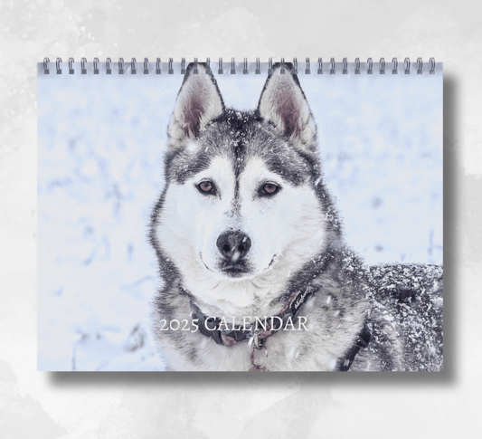 2025 Husky Calendar featuring a close-up image of a grey huskys white face, with a snowy background.