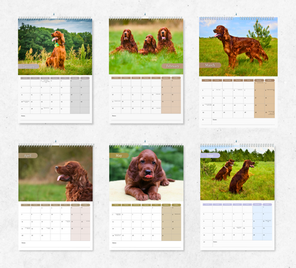 Irish Setter Calendar 2025