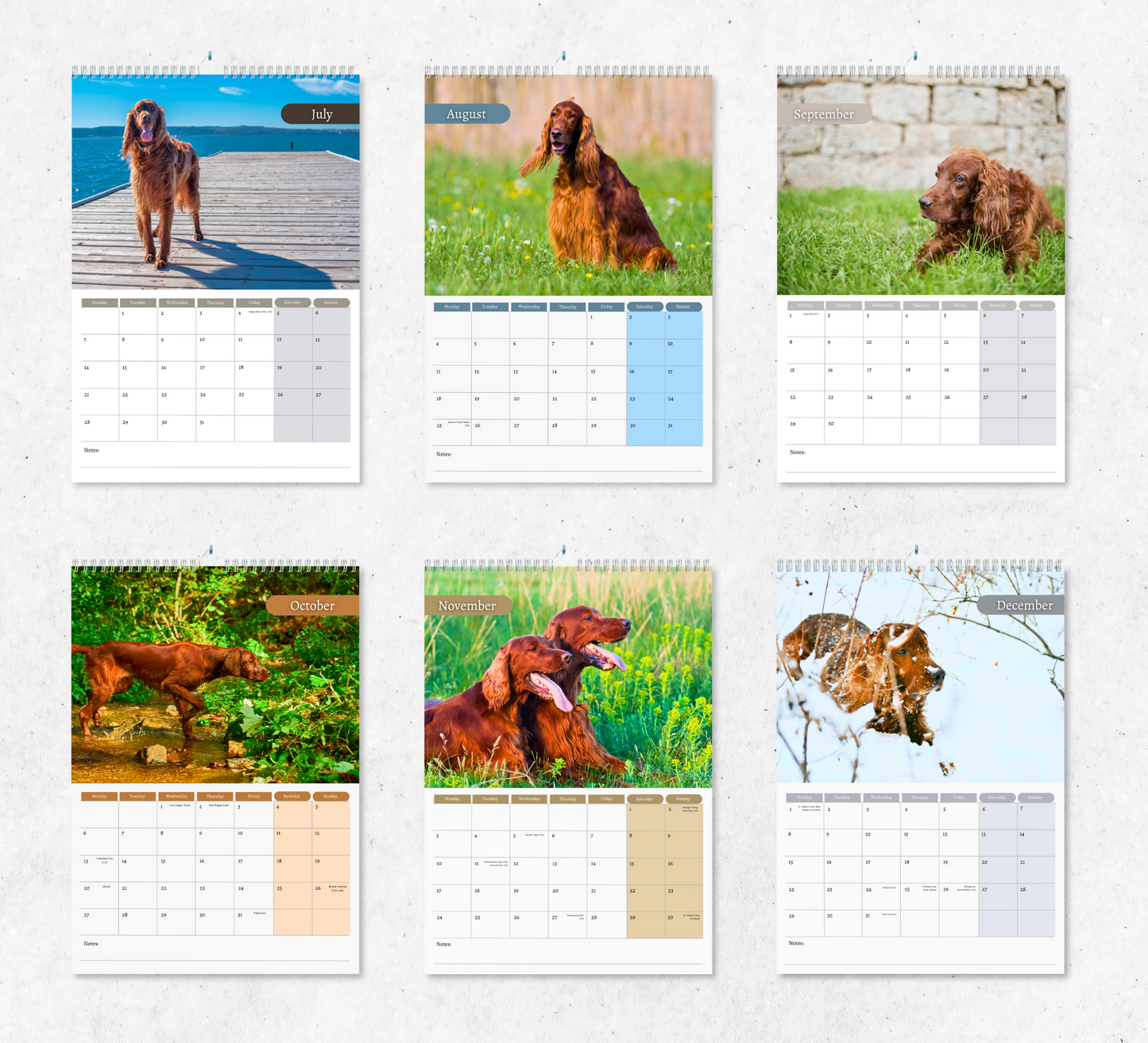 Irish Setter Calendar 2025