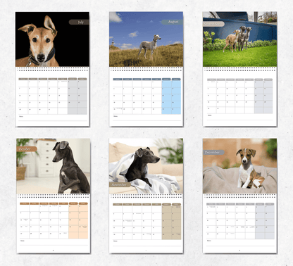 Italian Greyhound Calendar 2025