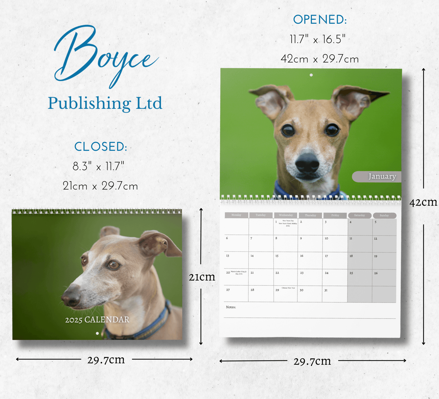 Italian Greyhound Calendar 2025