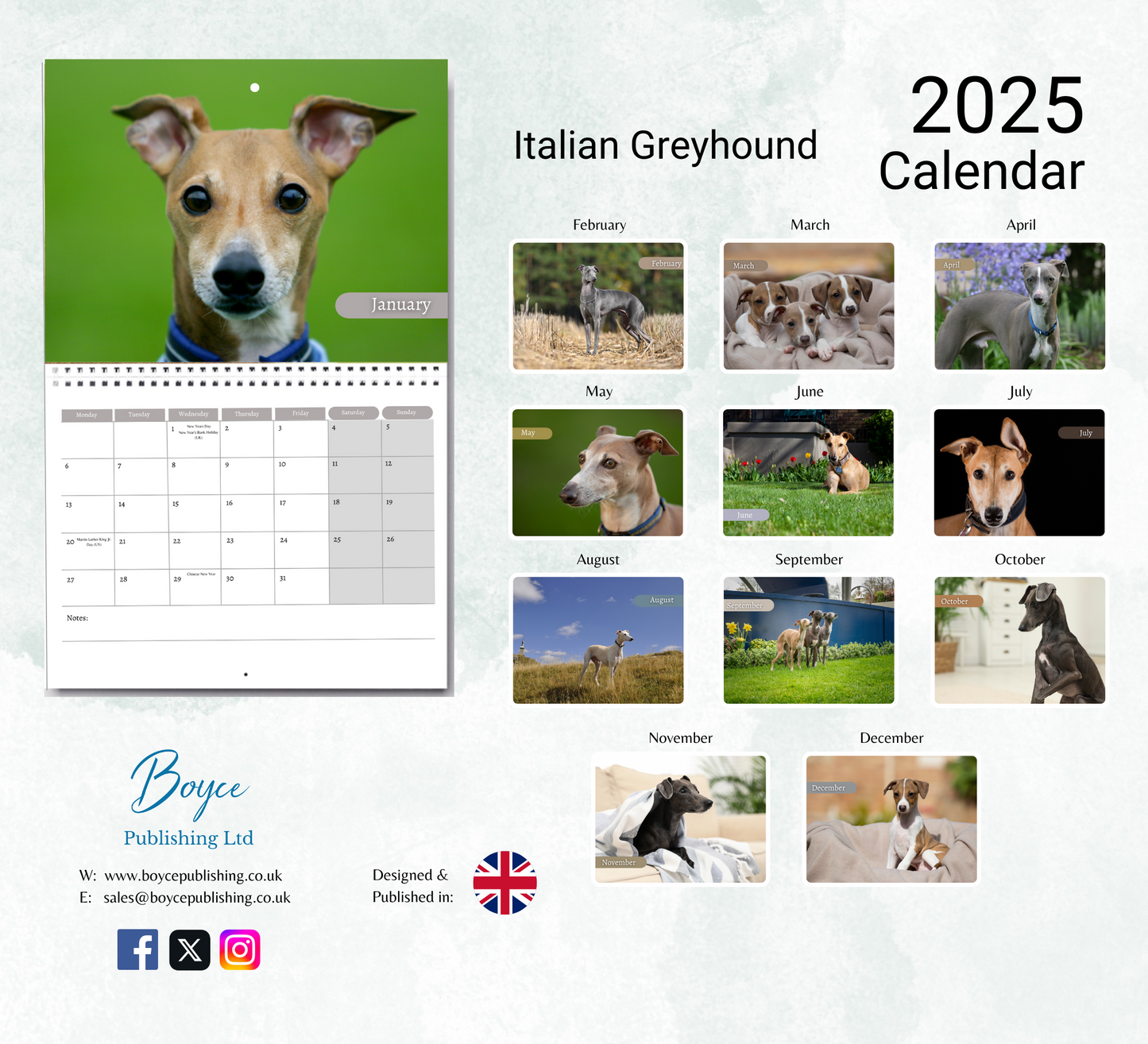 Italian Greyhound Calendar 2025