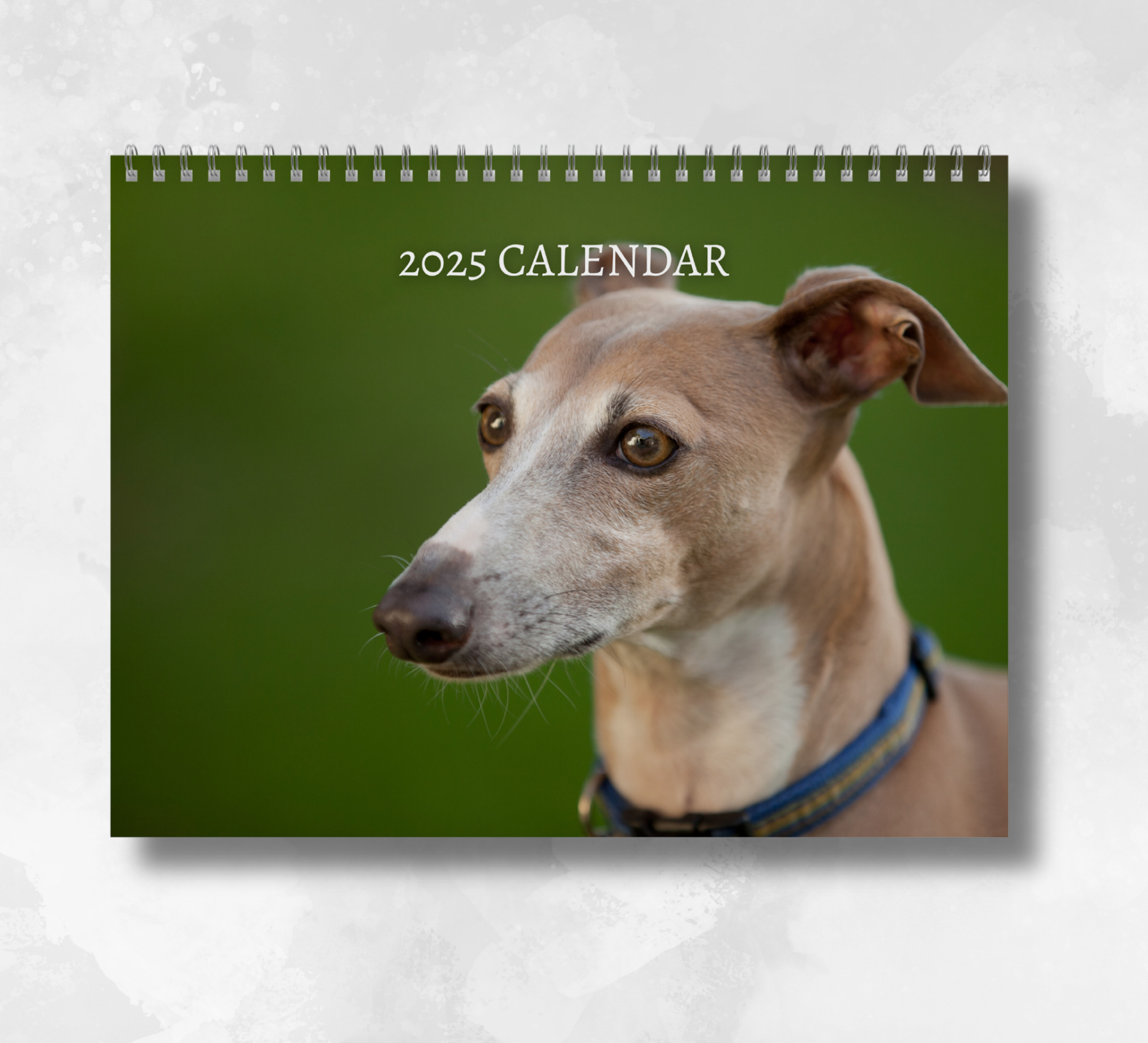 2025 Italian Greyhound Calendar featuring a close-up image of an italian greyhounds head looking to the left on a dark green background.