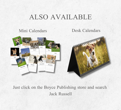 Jack Russell Calendar 2025