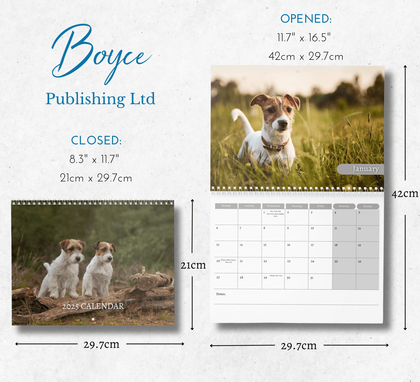 Jack Russell Calendar 2025