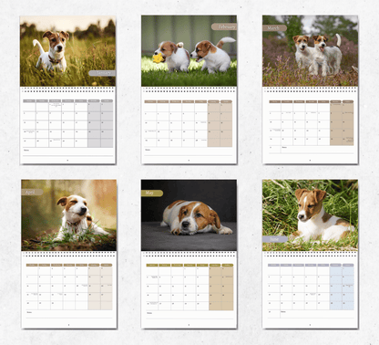 Jack Russell Calendar 2025