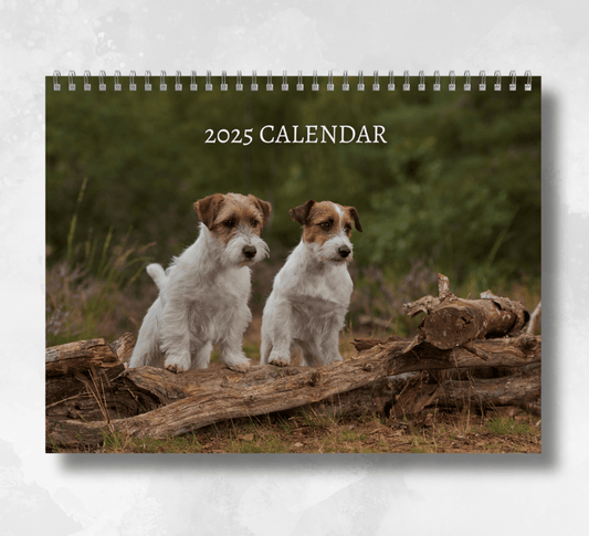 2025 Jack Russell Calendar featuring an image of two small jack russell dogs standing on a large tree branch.