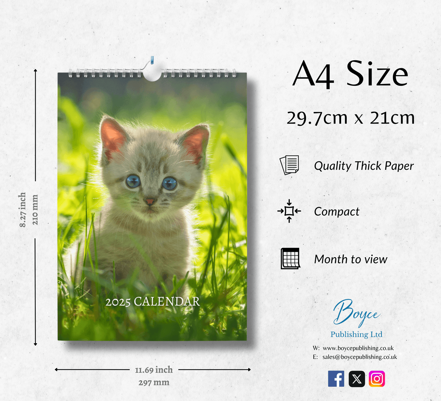 Kitten Calendar 2025