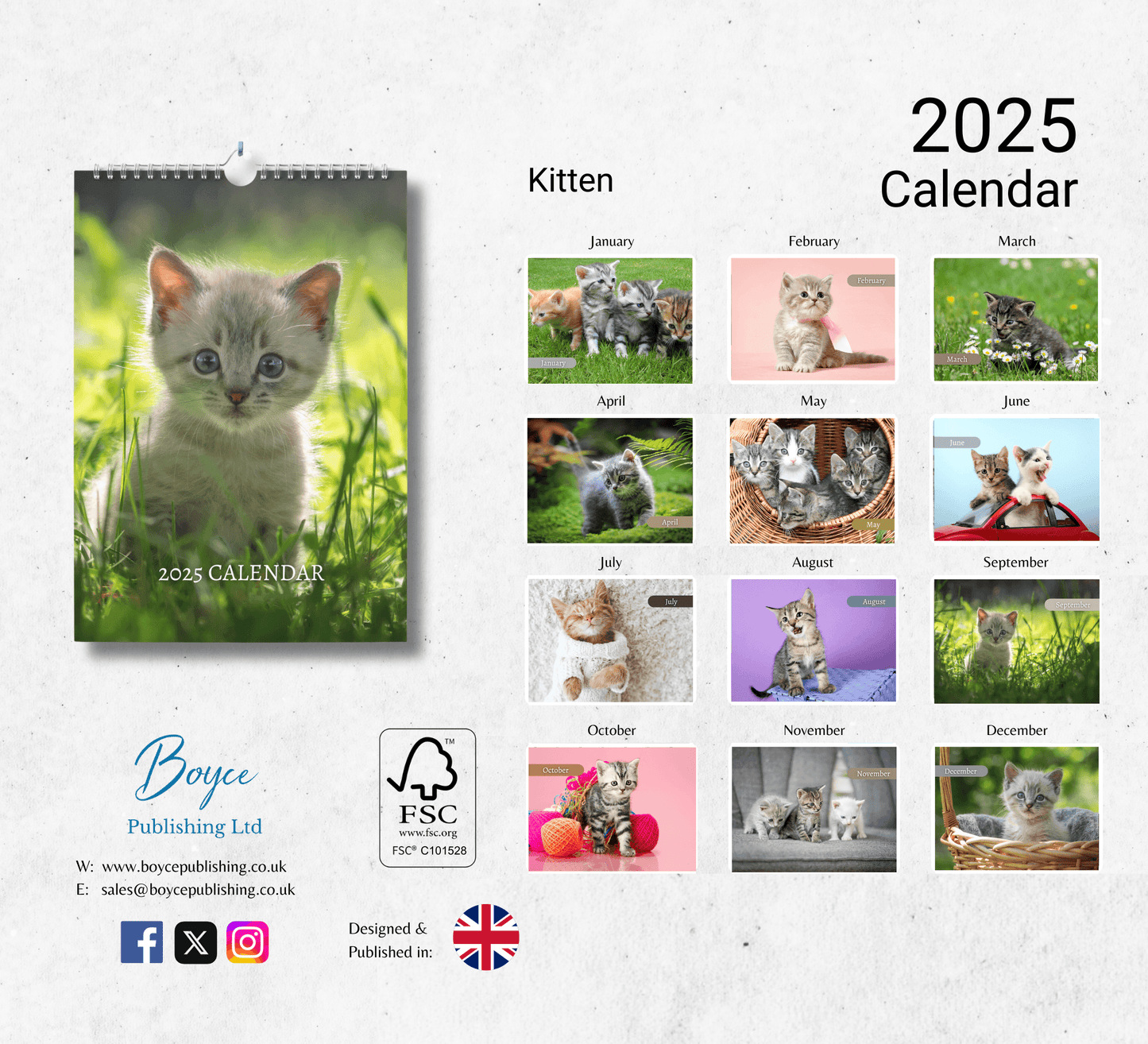 Kitten Calendar 2025