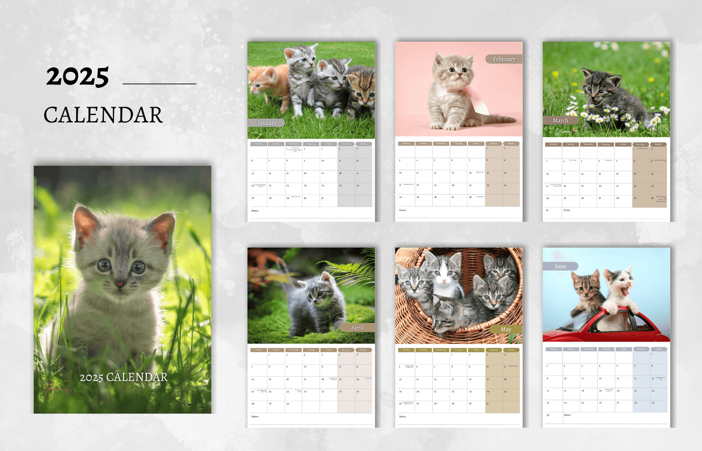 Kitten Calendar 2025