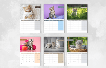 Kitten Calendar 2025