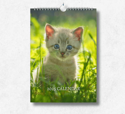 2025 Kitten calendar featuring an adorable grey kitten with cute blue eyes, sitting in grass.