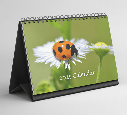 Ladybird Desk Calendar 2025