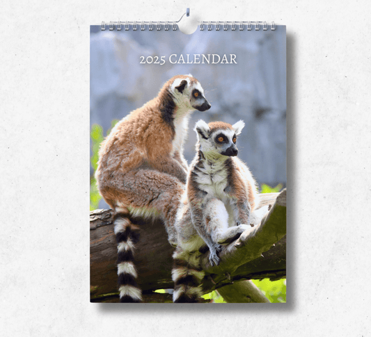 2025 Lemur calendar featuring two lemurs sitting on two tree branches in a zoo enclosure.