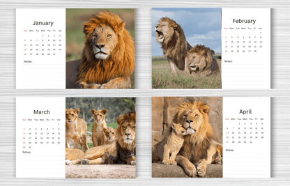 Lion Desk Calendar 2025