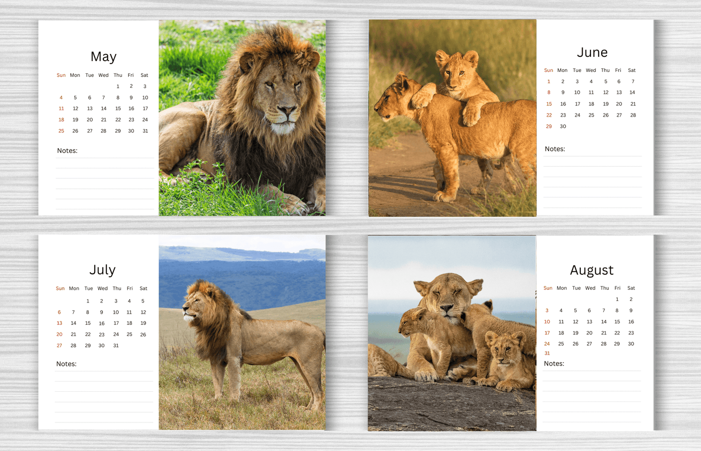 Lion Desk Calendar 2025