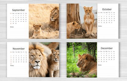 Lion Desk Calendar 2025