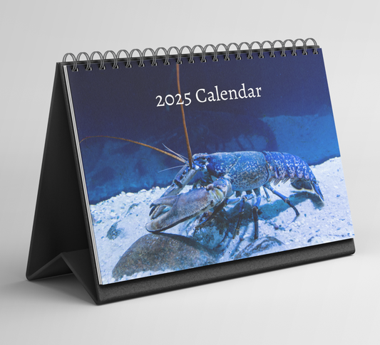 Lobster Desk Calendar 2025