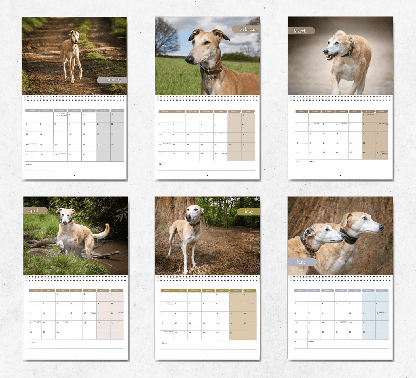 Lurcher Calendar 2025