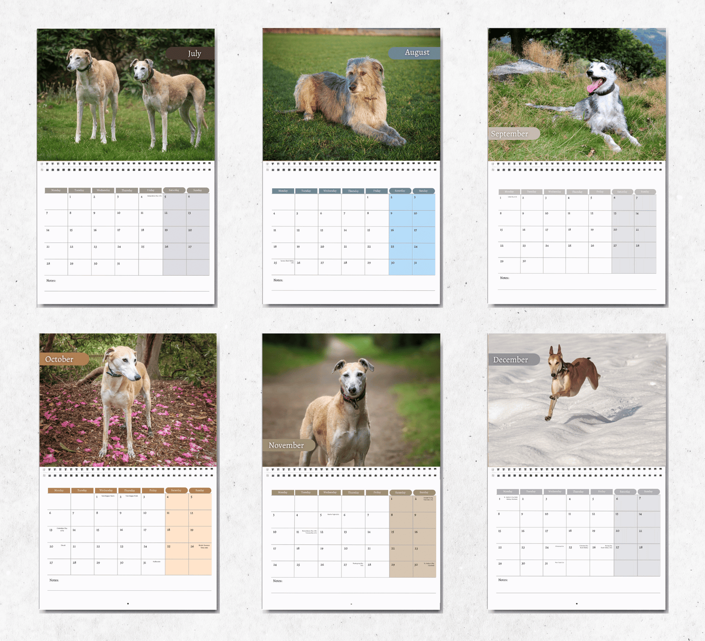 Lurcher Calendar 2025