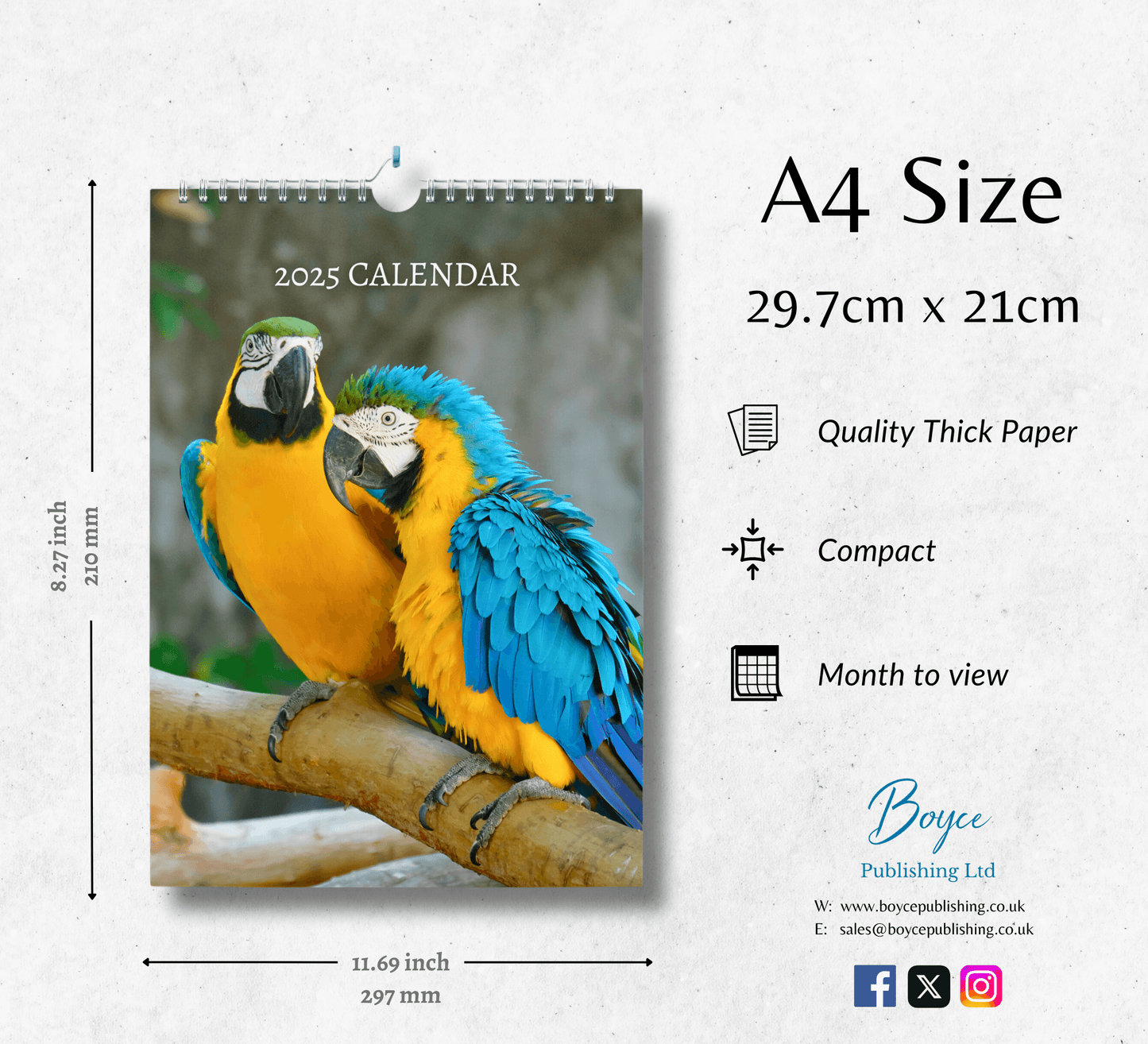 Macaw Calendar 2025