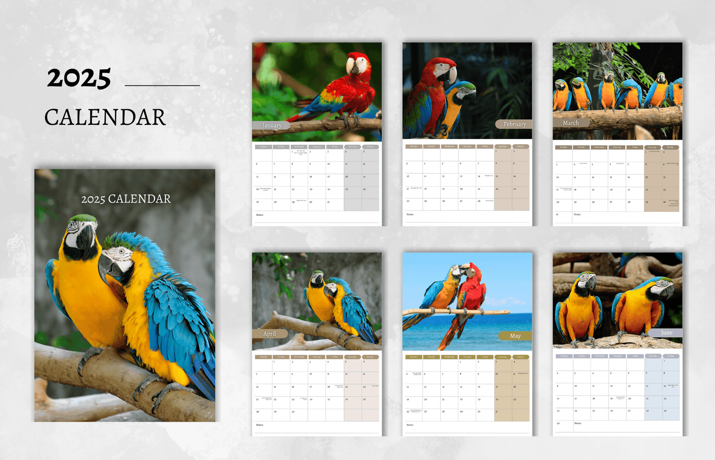 Macaw Calendar 2025