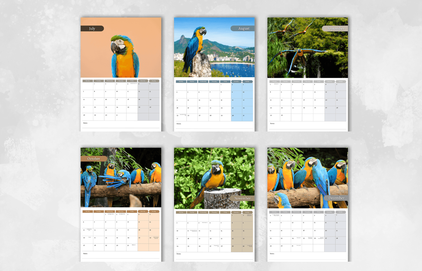 Macaw Calendar 2025