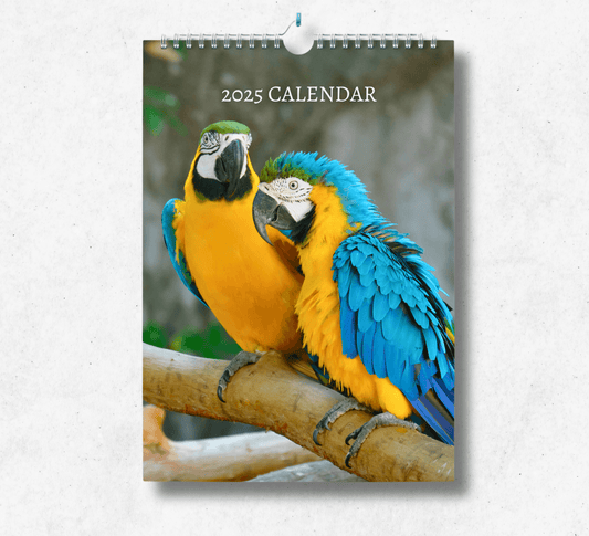 2025 Macaw calendar featuring two blue and yellow macaws perched on a tree branch.