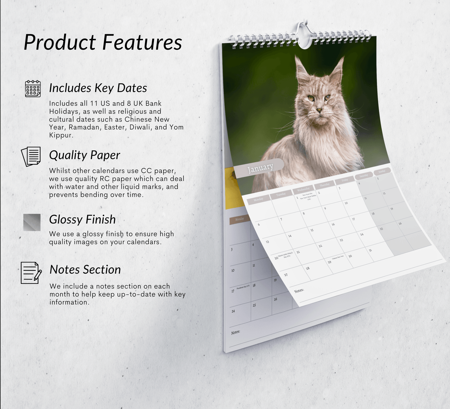 Maine Coon Calendar 2025