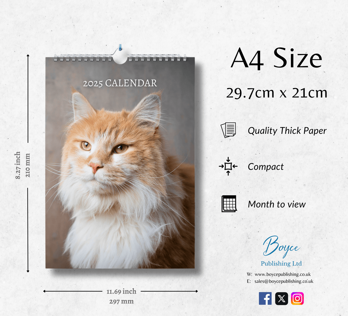 Maine Coon Calendar 2025