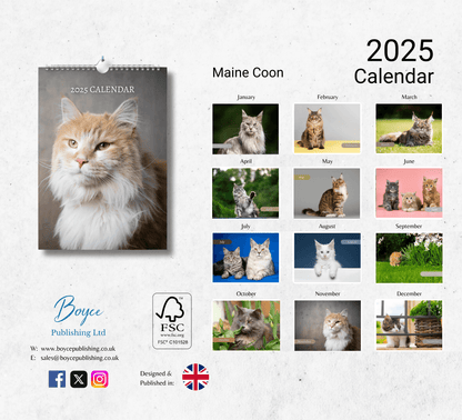 Maine Coon Calendar 2025