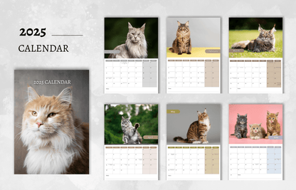 Maine Coon Calendar 2025