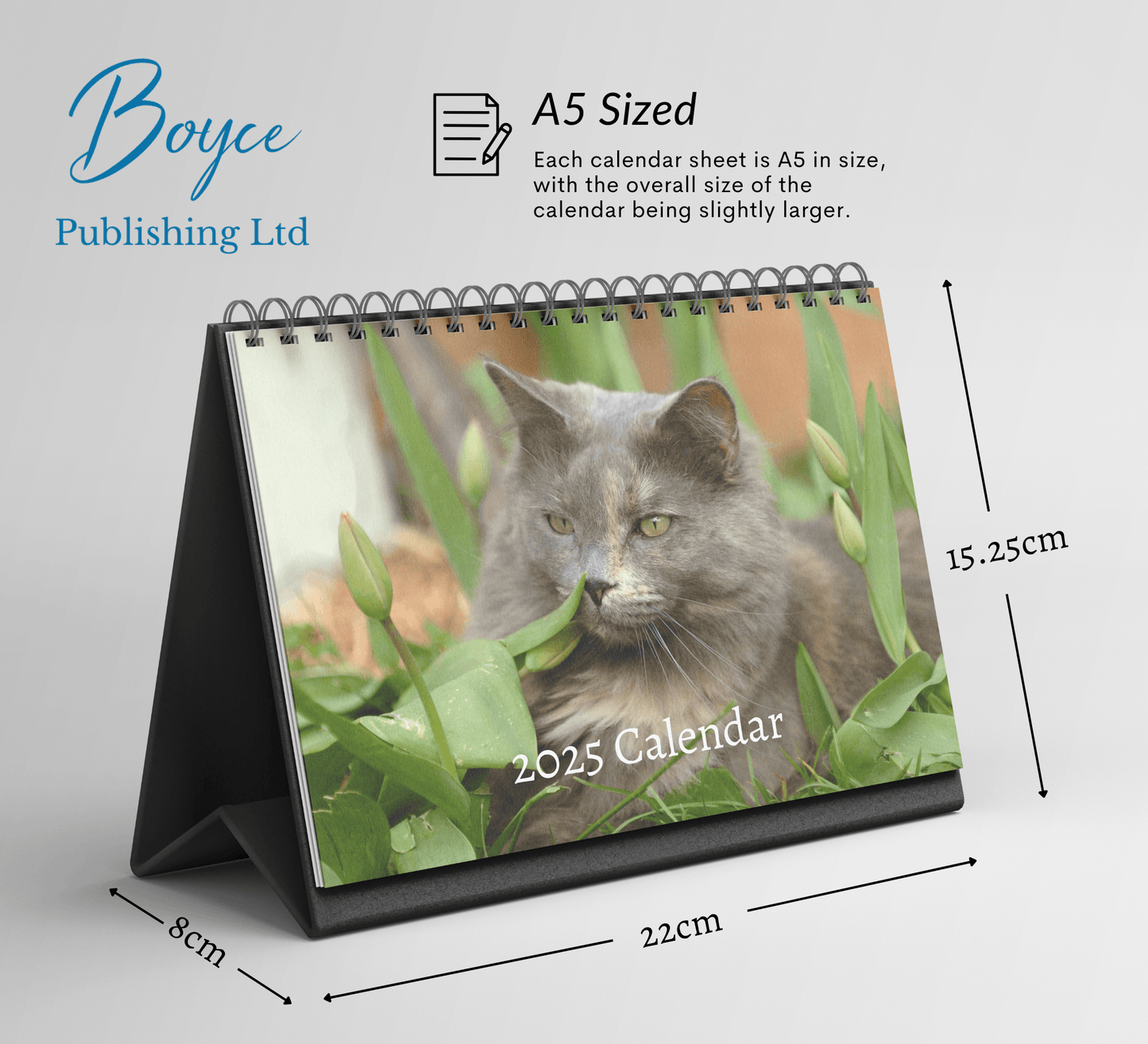 Maine Coon Desk Calendar 2025