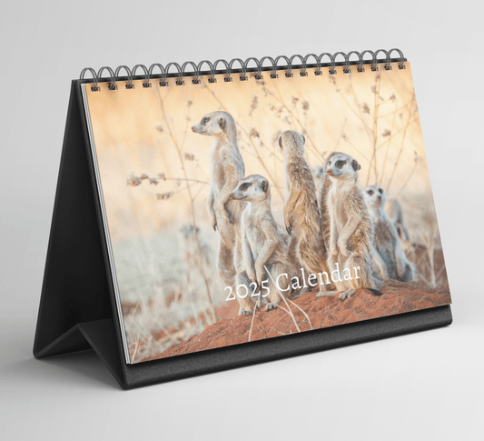 Meerkat Desk Calendar 2025