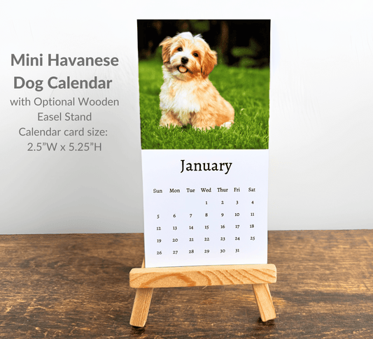 Mini Havanese Dog Calendar 2025