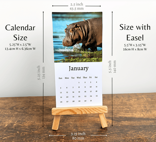 Mini Hippo Calendar 2025