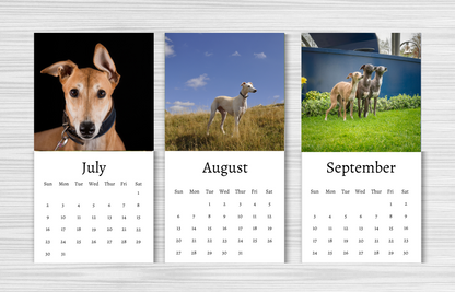 Mini Italian Greyhound Calendar 2025