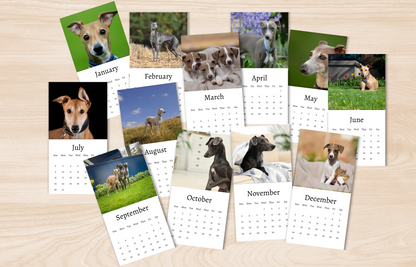 Mini Italian Greyhound Calendar 2025