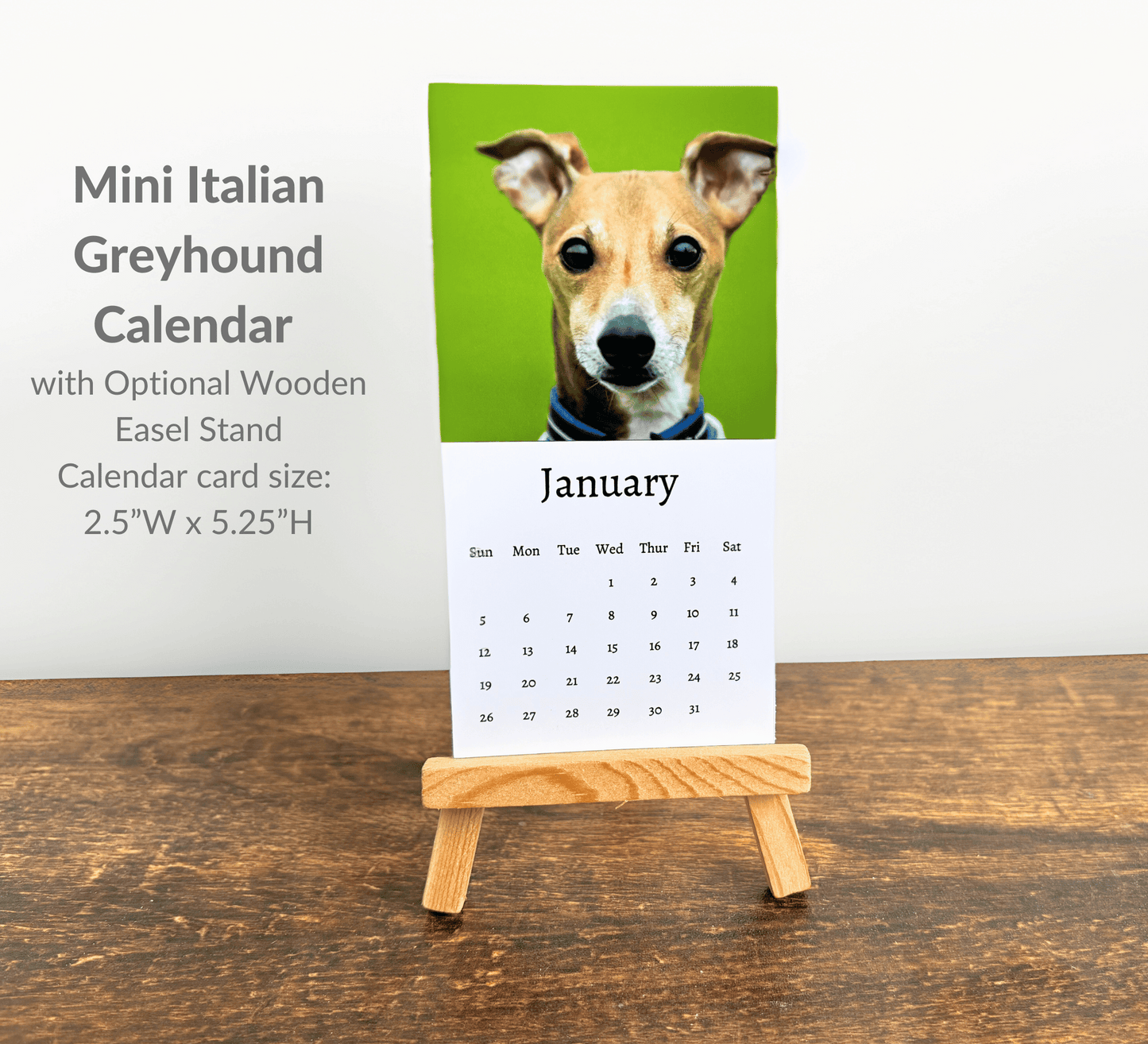 Mini Italian Greyhound Calendar 2025