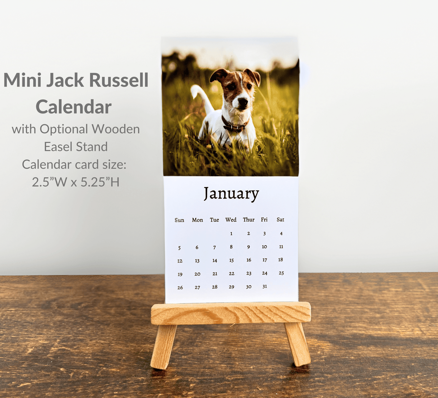 Mini Jack Russell Calendar 2025