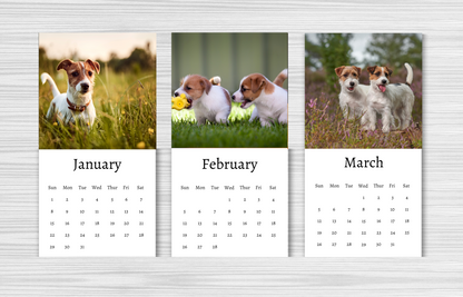 Mini Jack Russell Calendar 2025