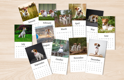 Mini Jack Russell Calendar 2025