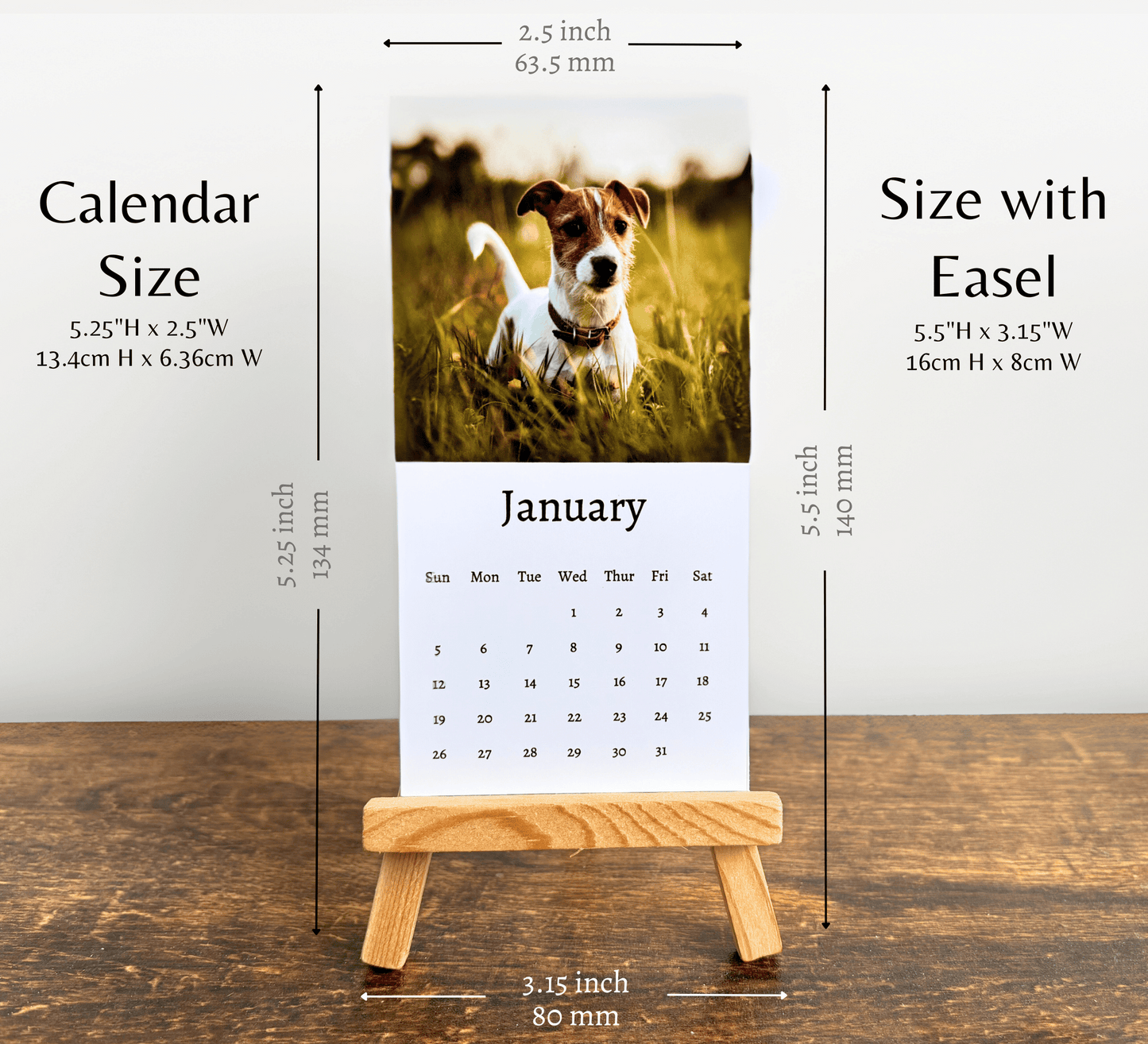 Mini Jack Russell Calendar 2025