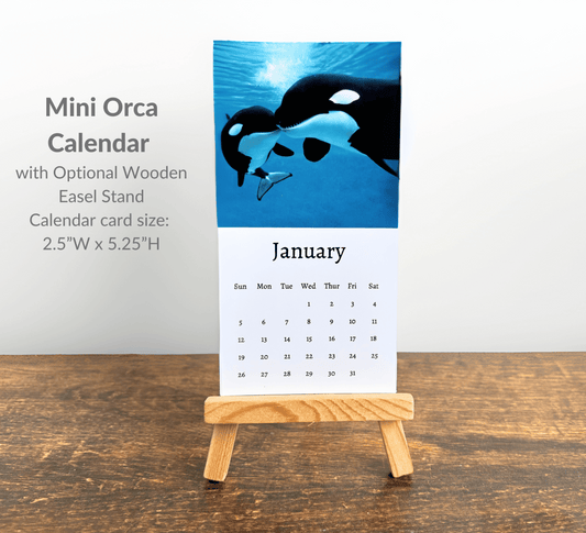 Mini Orca Calendar 2025