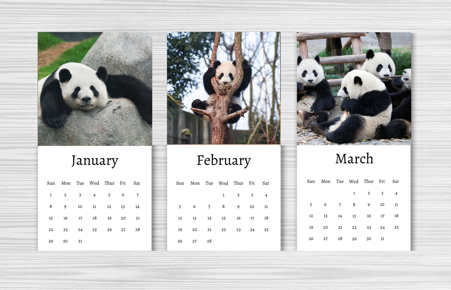 Mini Panda Calendar 2025