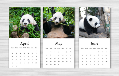 Mini Panda Calendar 2025