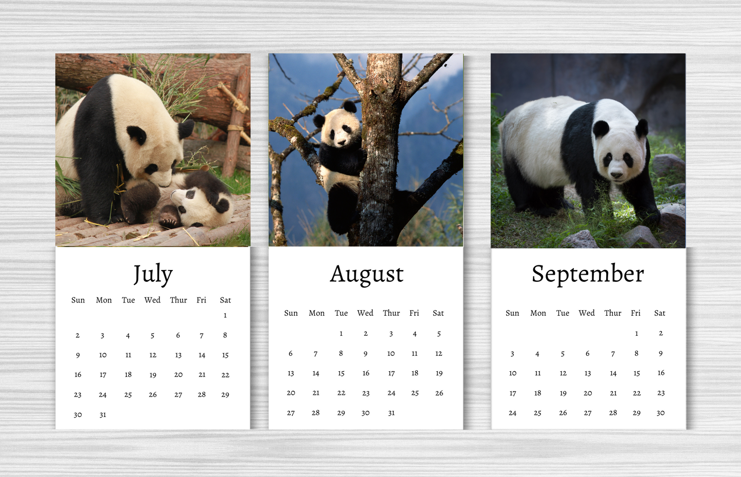 Mini Panda Calendar 2025