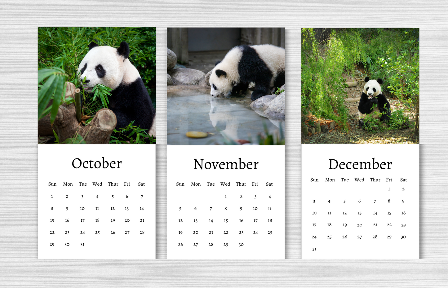 Mini Panda Calendar 2025